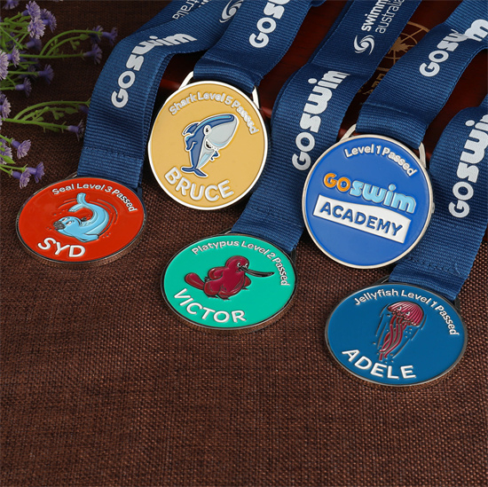 Level 1 2 3 4 5 Passed Custom Metal Silver Swimming Medal