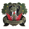 US Naval Marine Security Guard Coin with Laser Engraving