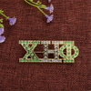 Personalized Chi Eta Phi Nurse Jewelry Rhinestone Brooch