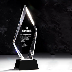 Custom Logo Engraved Irregular Crystal Trophy with Base