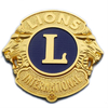 Custom Metal Zinc alloy Soft Enamel Car Emblems 