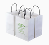 Custom Printing Logo Paper Shopping Bag with Durable Handle