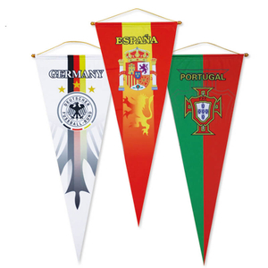 Promotion Custom Advertising Sport Triangle Pennant Flag