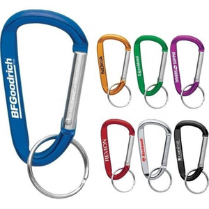  Customized Metal Carabiner Hooks with Engraved Logo