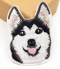 Various Working Support Medical Alert Service Dog Patches