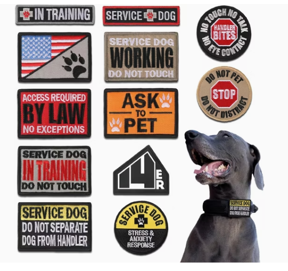  Branch of Service Patches