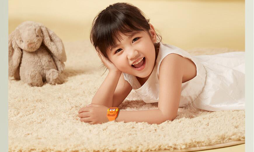 Anti Mosquito Repellent Wristband