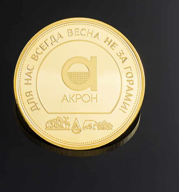 mirror coin (17)