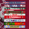 Custom World Cup Fan Polyester Scarf for Sporting Events