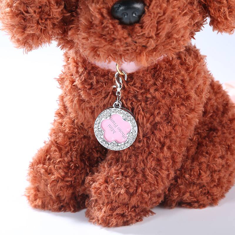 Metal Round Dog Tag 4