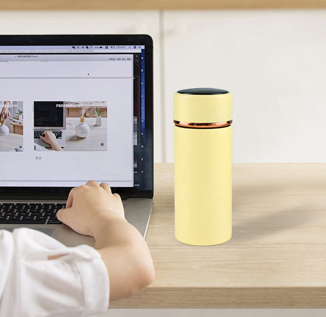 Stainless Steel Smart LED Temperature Display Vacuum Cup 